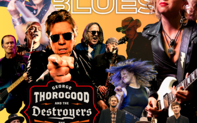 Kesän paras bluespiknik - Puistoblues