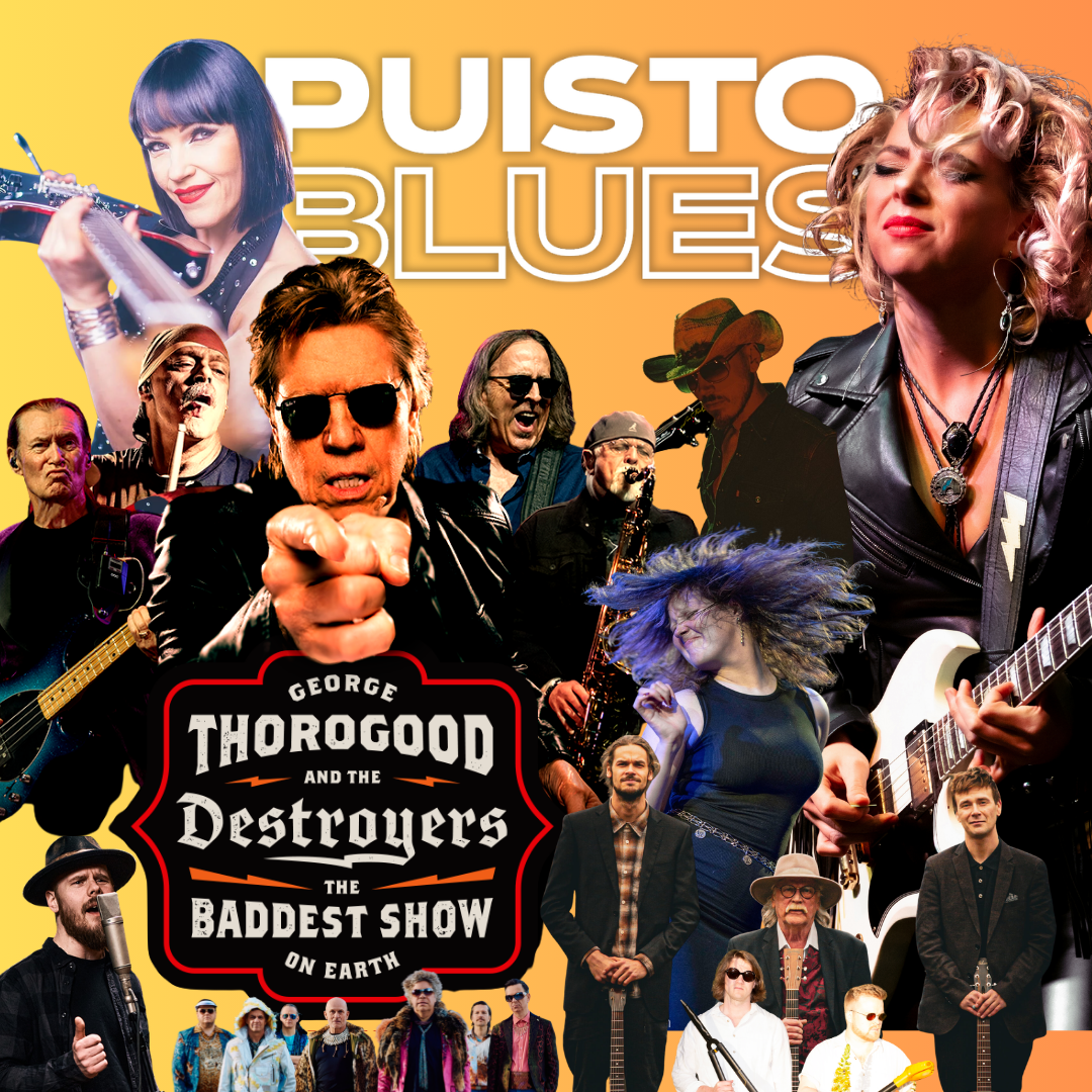 Kesän paras bluespiknik - Puistoblues